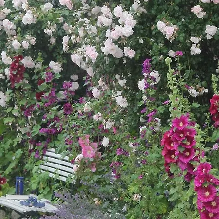 Farm stay Innenhof Pommerby (Gelting)